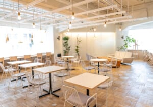 バーチャルオフィスとレンタルオフィスの違いとは？選び方も解説